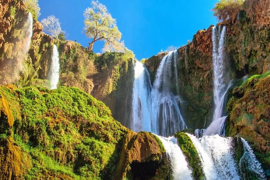 Excursion privée d&rsquo;une journée de Marrakech aux cascades d&rsquo;Ouzoud : Le Guide Complet