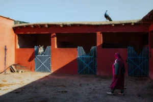 A woman walks past stalls with an animal.