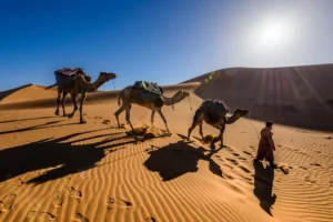 Morocco, Sahara.