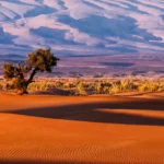 Morocco, Sahara.