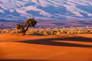 Marruecos, Sahara