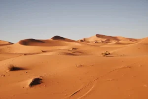 Dry Desolation