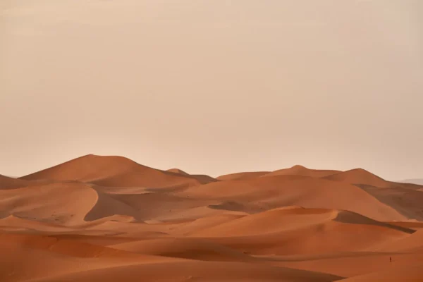 after a sand storm the the air cleans up quickly