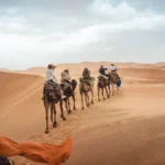 several people riding camels on desert during daytime