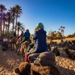Riding camels at Sahara desert
