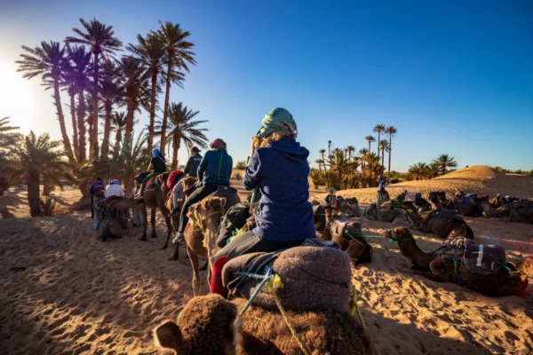 Riding camels at Sahara desert
