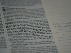 close up, bokeh, macro, blur, blurred background, close focus, bible, old testament, joshua, christian, judaism, history, text, first book of deuteronomist history, twelve tribes, reading, bible study, torah, devotions, text, NIV, New International Version, type, typography, canon, christianity, holy scripture, holy bible, scripture, book of joshua, hebrews, ספר יהושע, 
